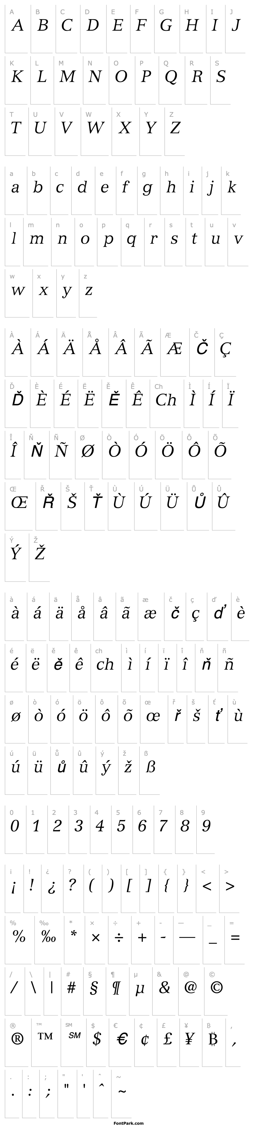 Overview NuanceSSK Italic