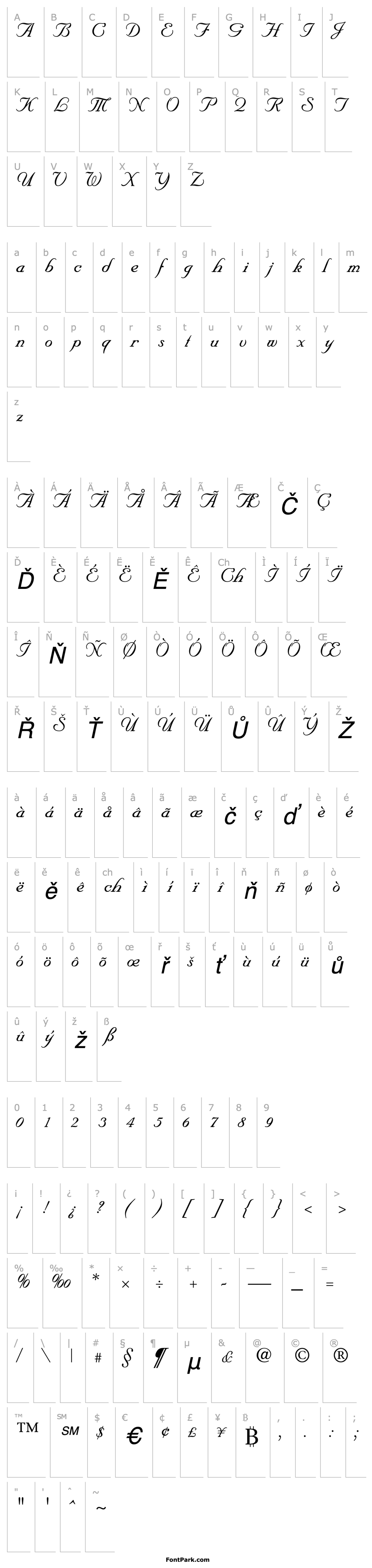 Overview NuptialScript Italic