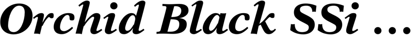 Preview Orchid Black SSi Bold Italic