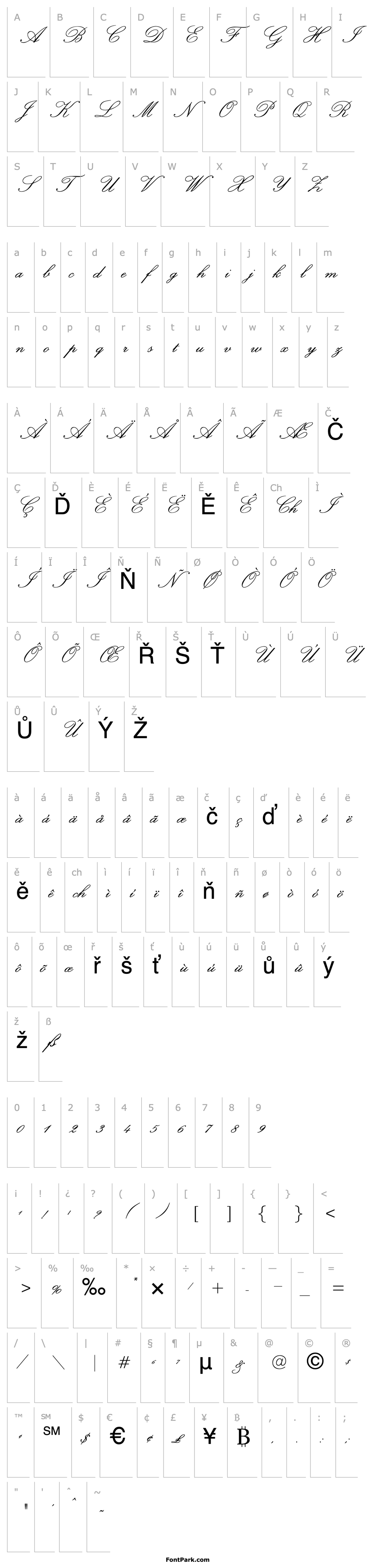 Přehled OPTIExcelsiorScript