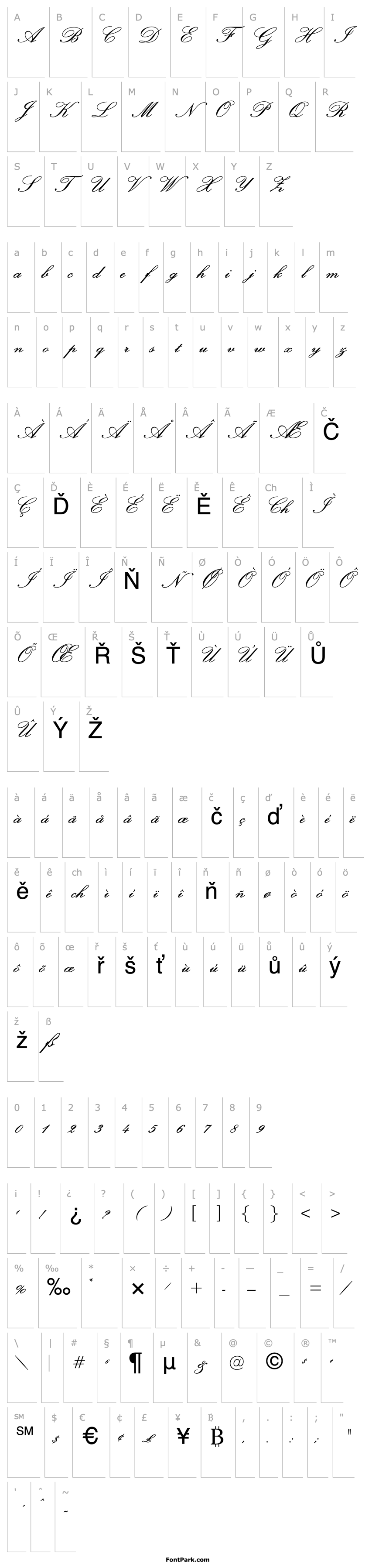 Overview OPTIExcelsiorScript-SemiBd