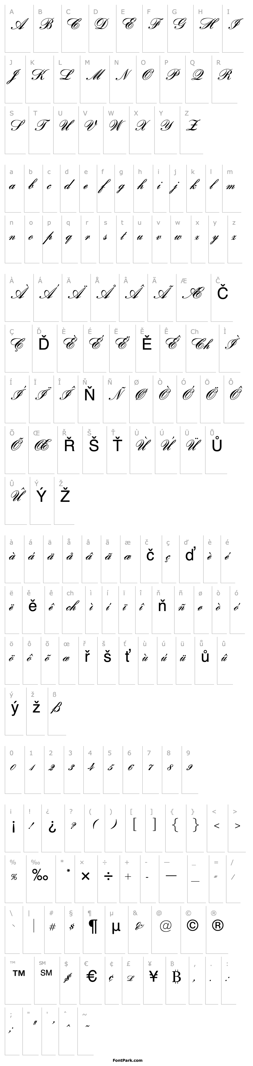 Overview OPTIBank Script