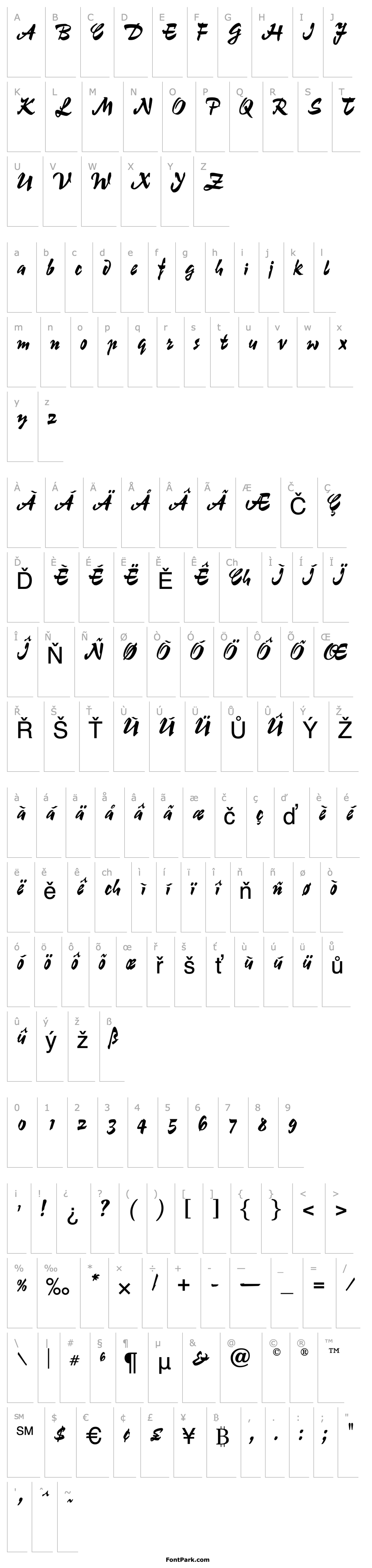 Overview OPTIChampion-Script