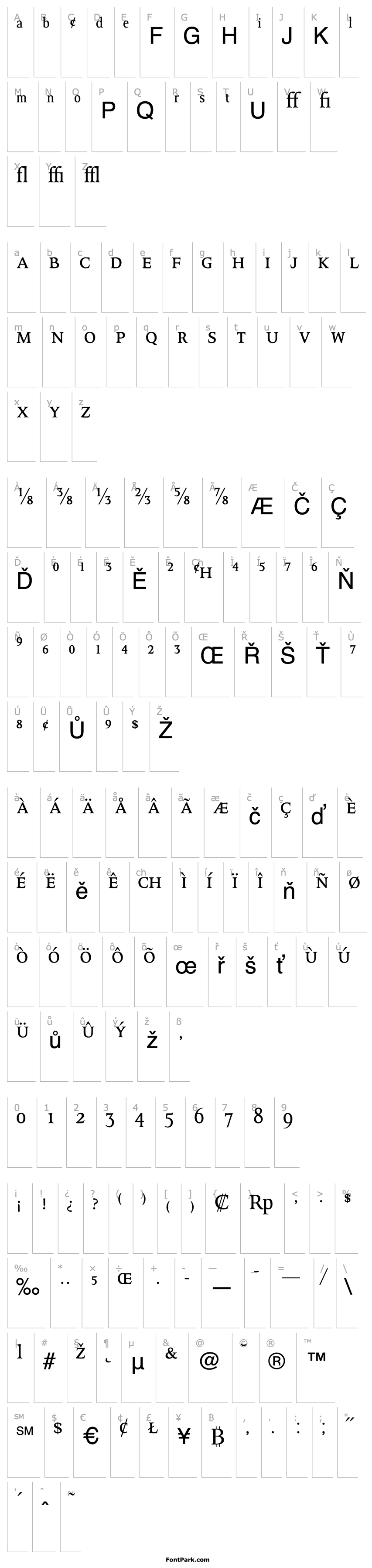 Overview OctavianMTExpert