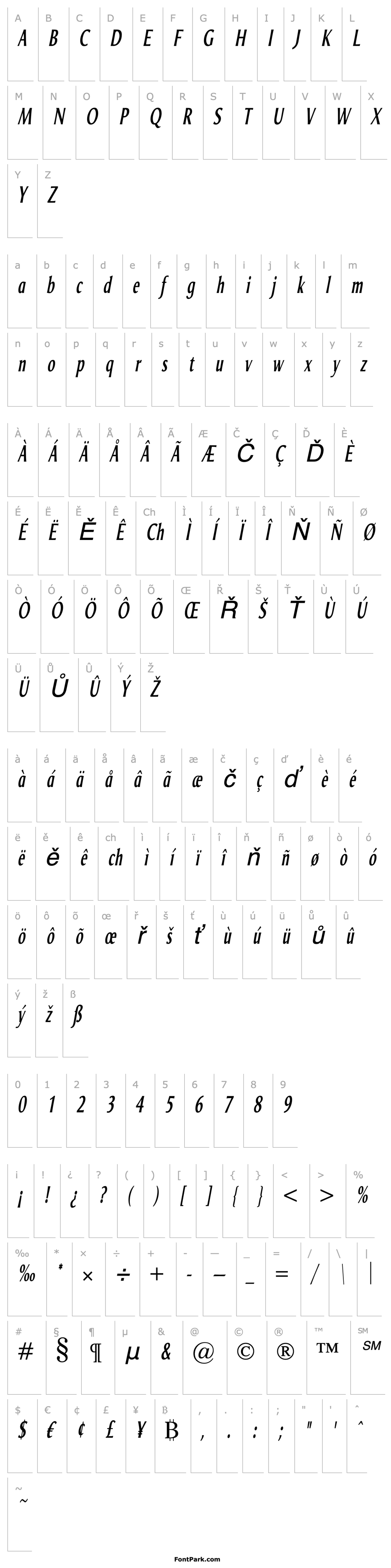 Overview Odense Compr Italic