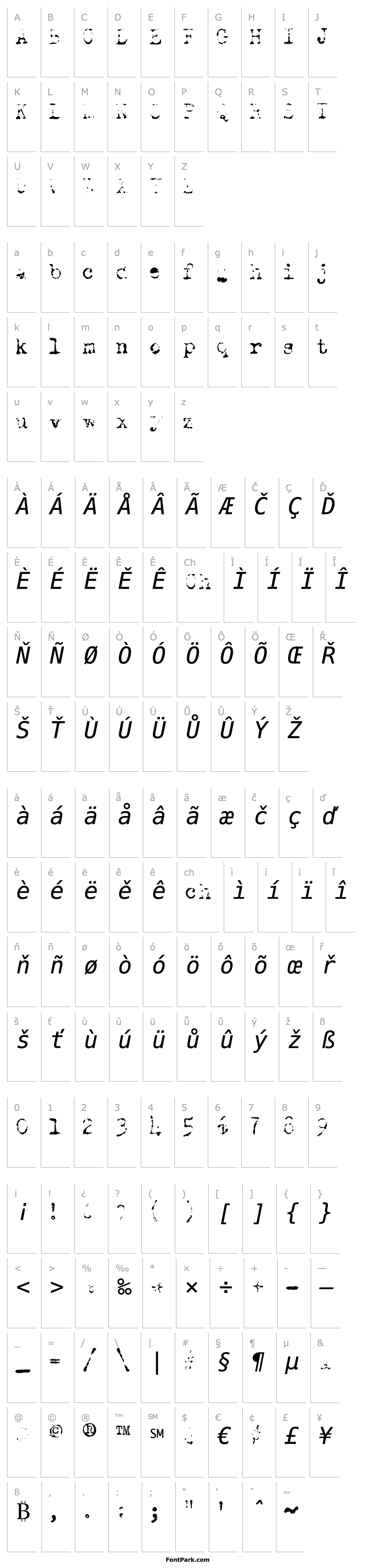 Overview Old Typewriter Italic