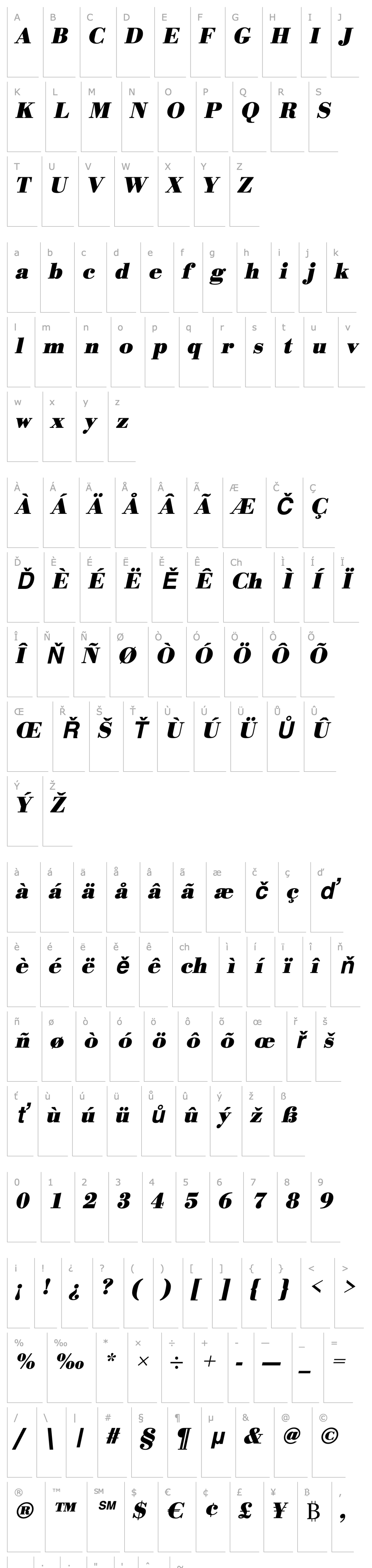 Overview OlgaBecker Bold Italic