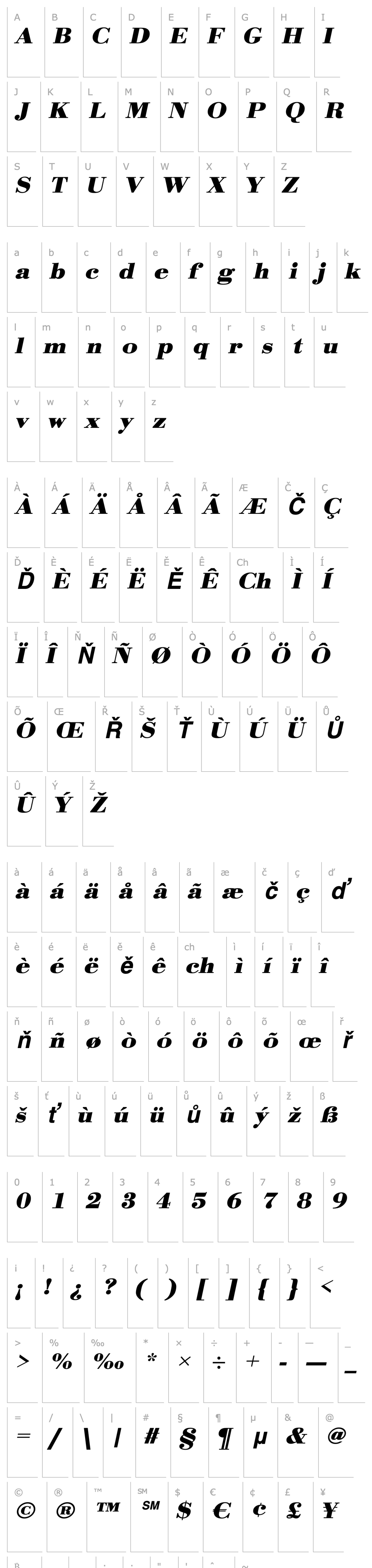 Overview OlgaBeckerExtended Bold Italic