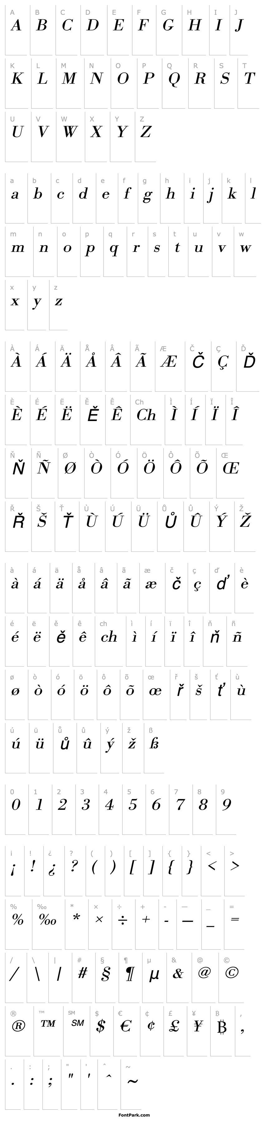 Overview OlgaBeckerExtended Italic