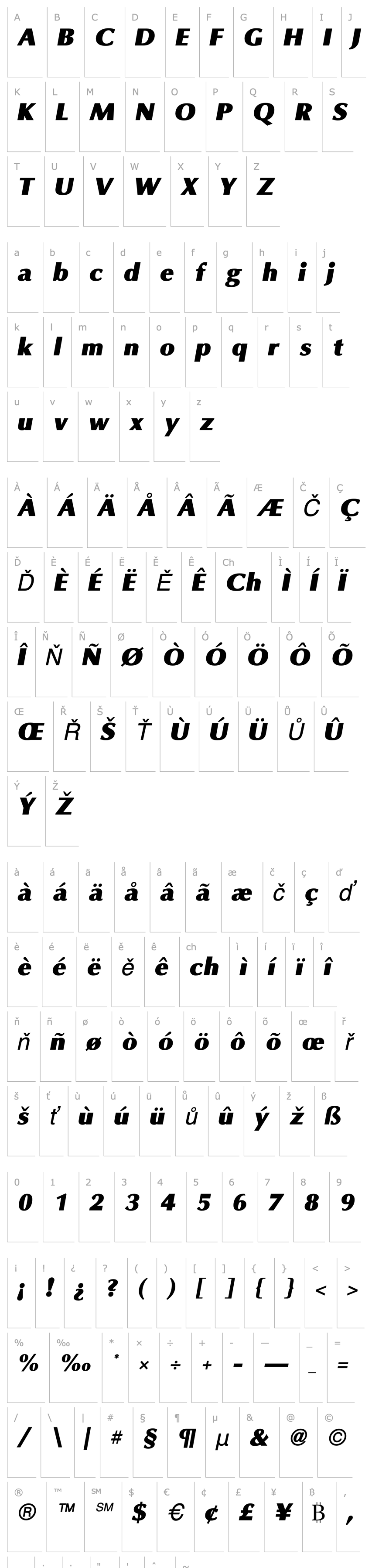 Overview Omni Black Italic