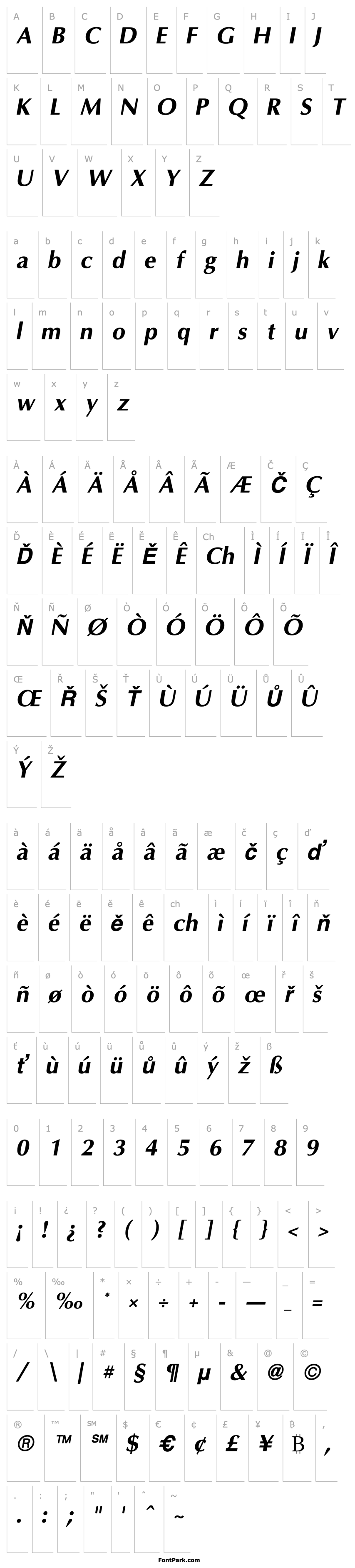 Overview Omni Bold Italic