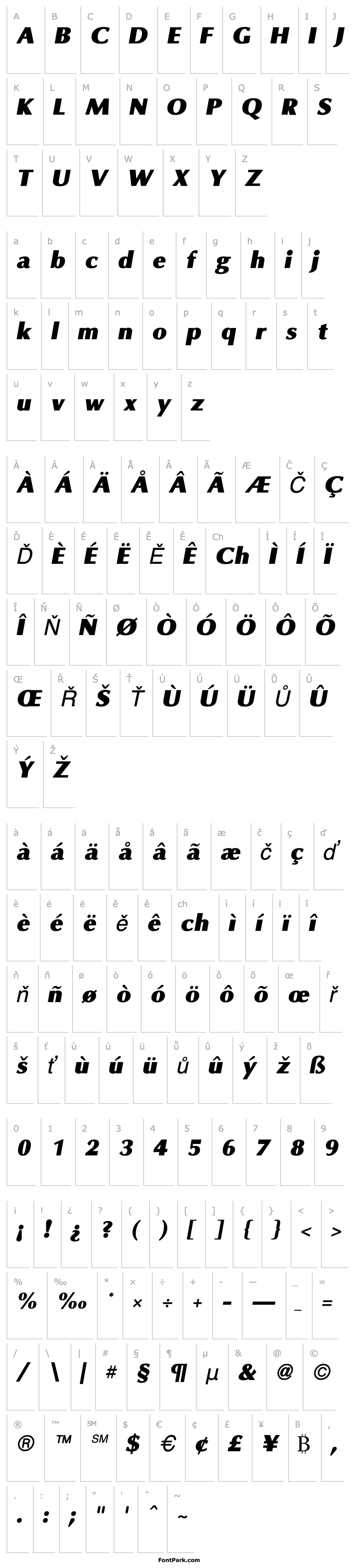 Overview OmniBlackItalic