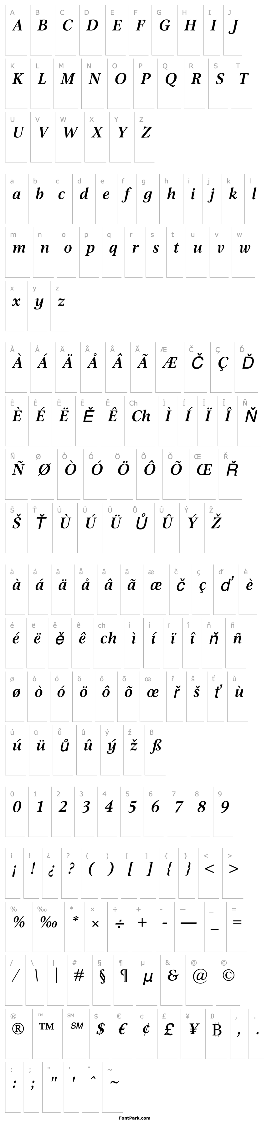 Overview Omnibus SemiBold Italic