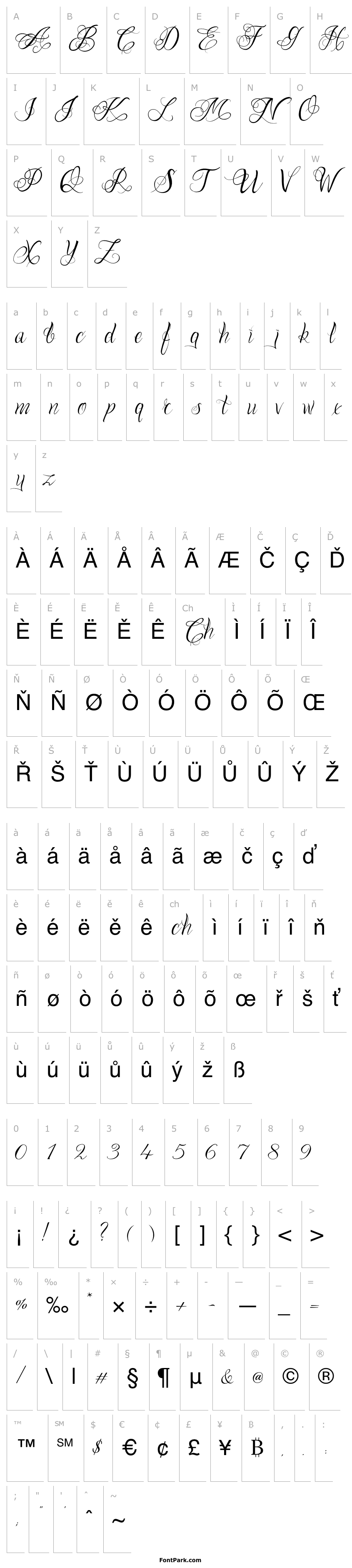 Overview One Chance Script Regular