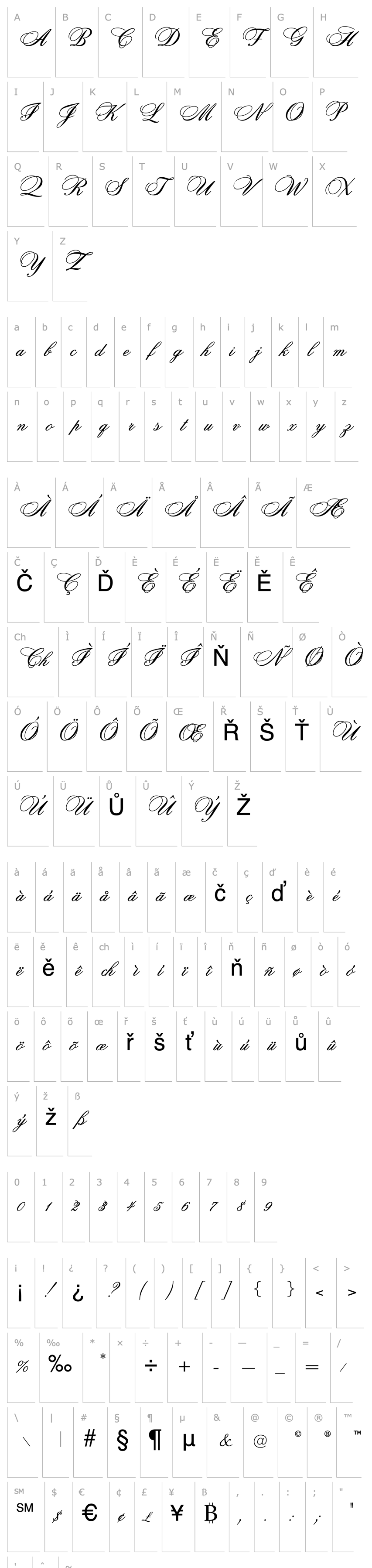 Overview OPCitS ScripT