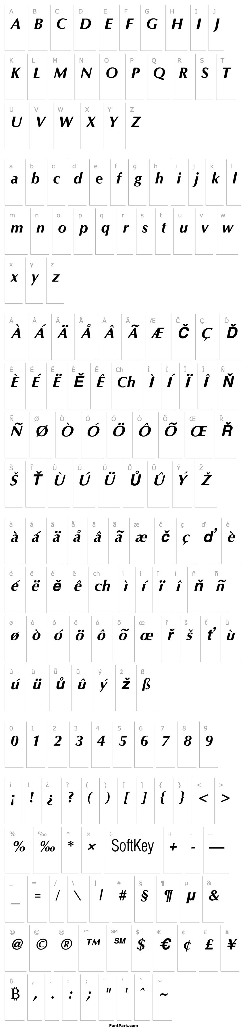 Overview Optane Bold Italic