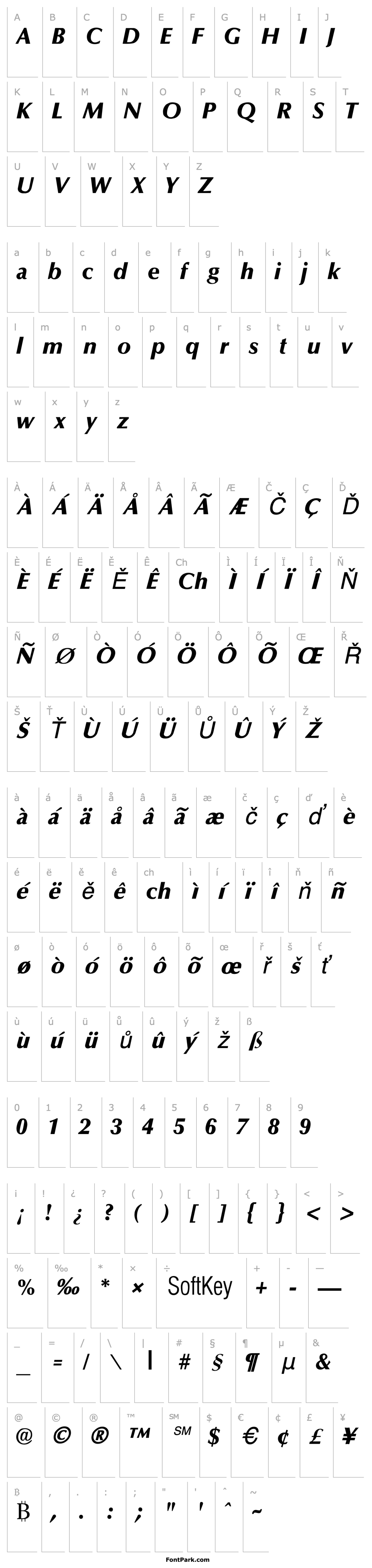 Overview Optane ExtraBold Italic