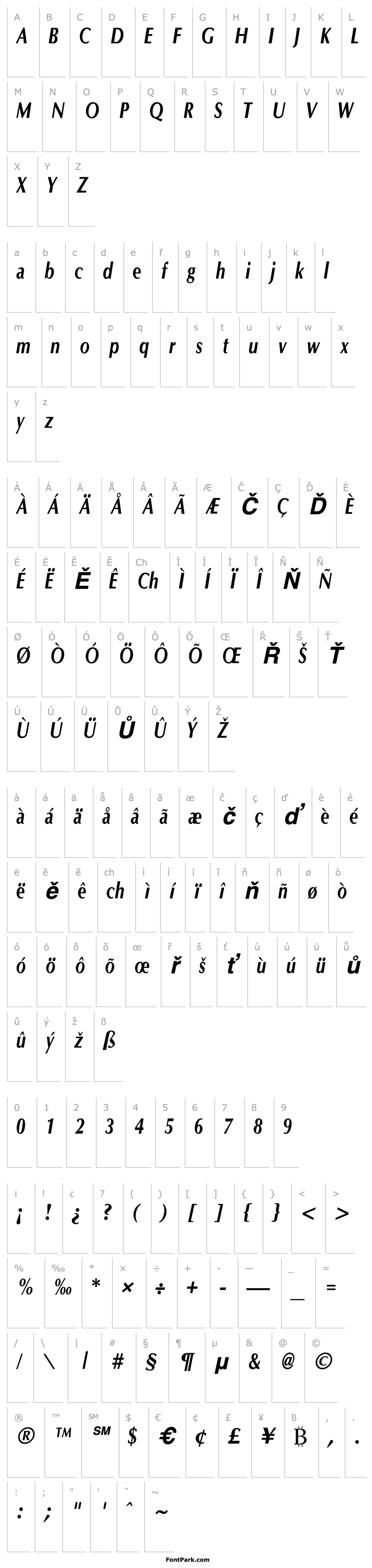 Overview OptaneCompact Bold Italic