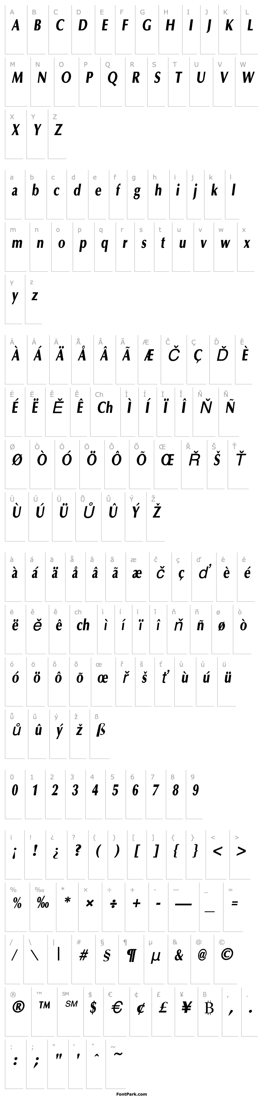 Overview OptaneCompactExtrabold Italic