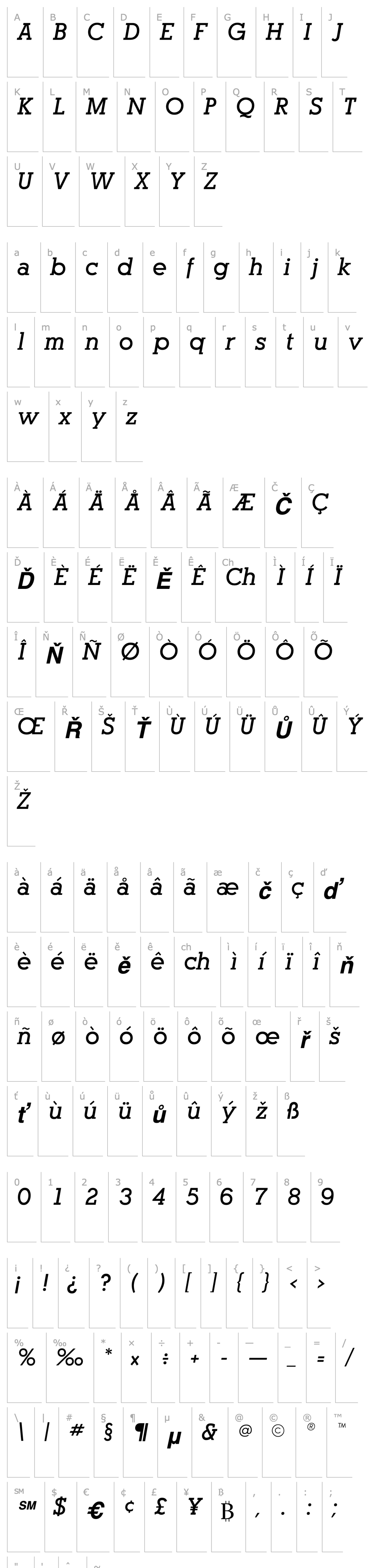 Přehled Optasia SSi Bold Italic