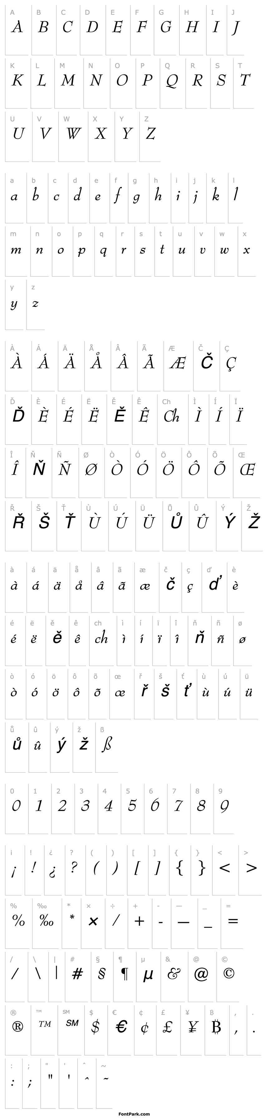 Overview OPTIBenjieModern-Italic