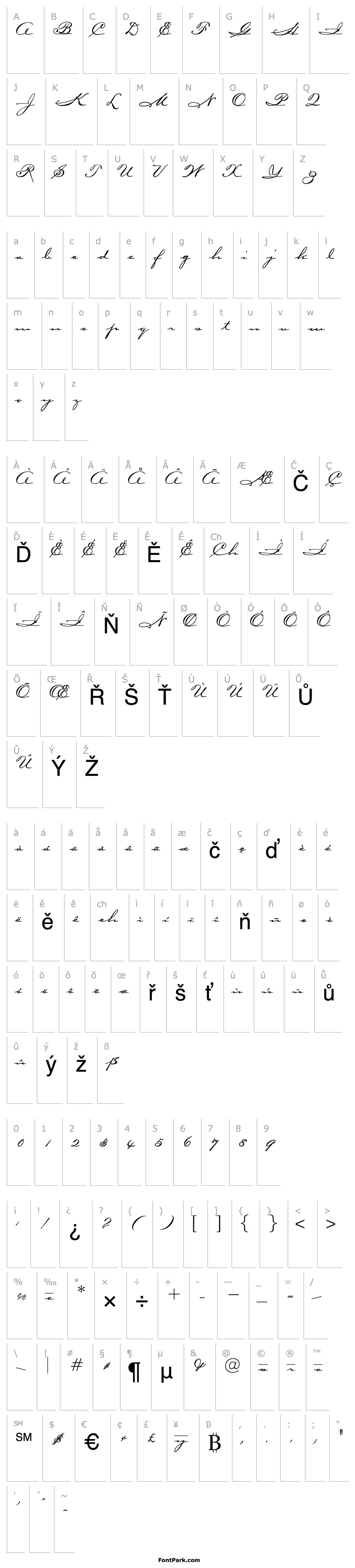 Overview OPTICarmella-HandScript