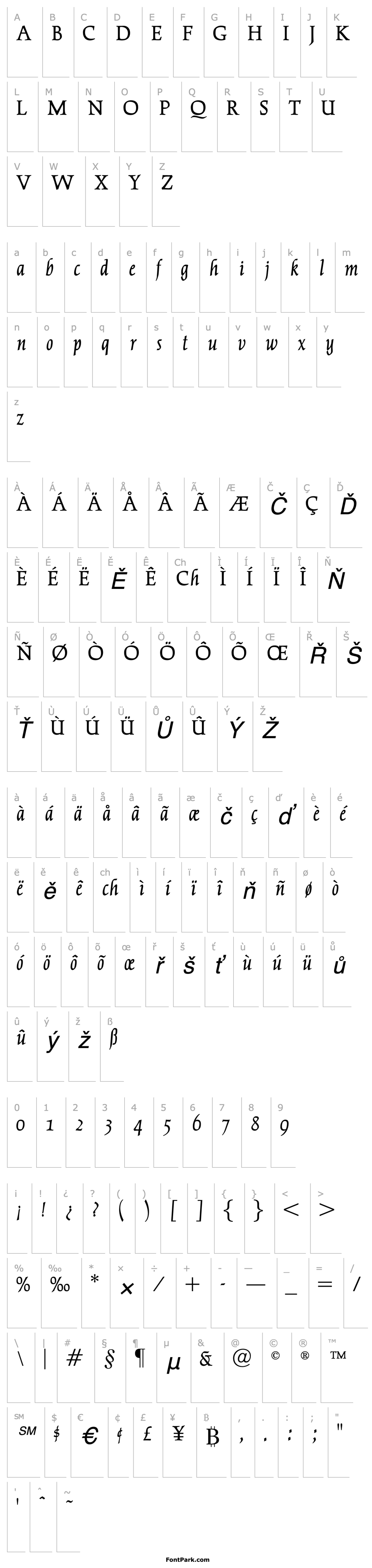 Overview OPTICather-Italic