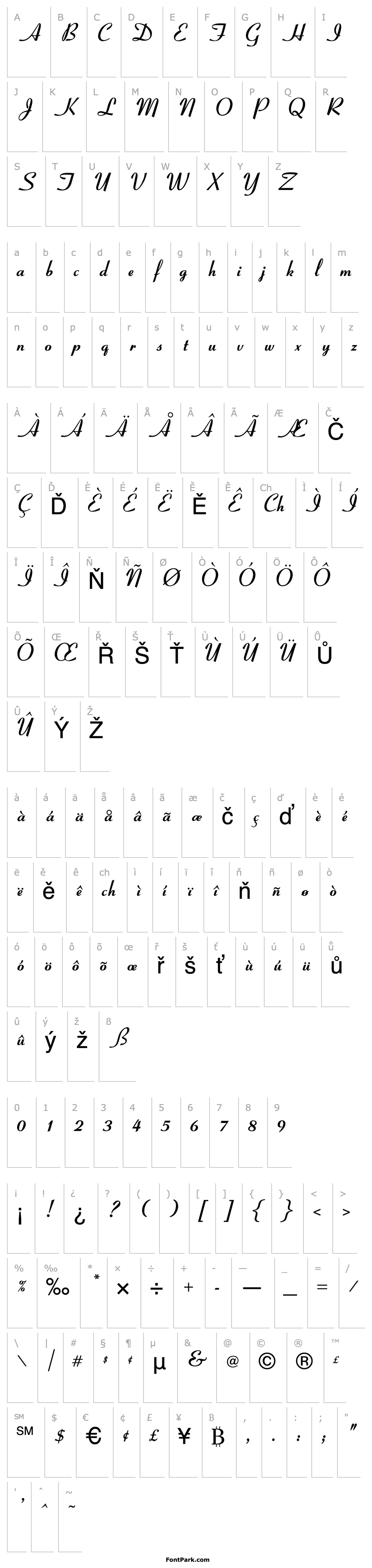 Overview OPTICoyonetBold