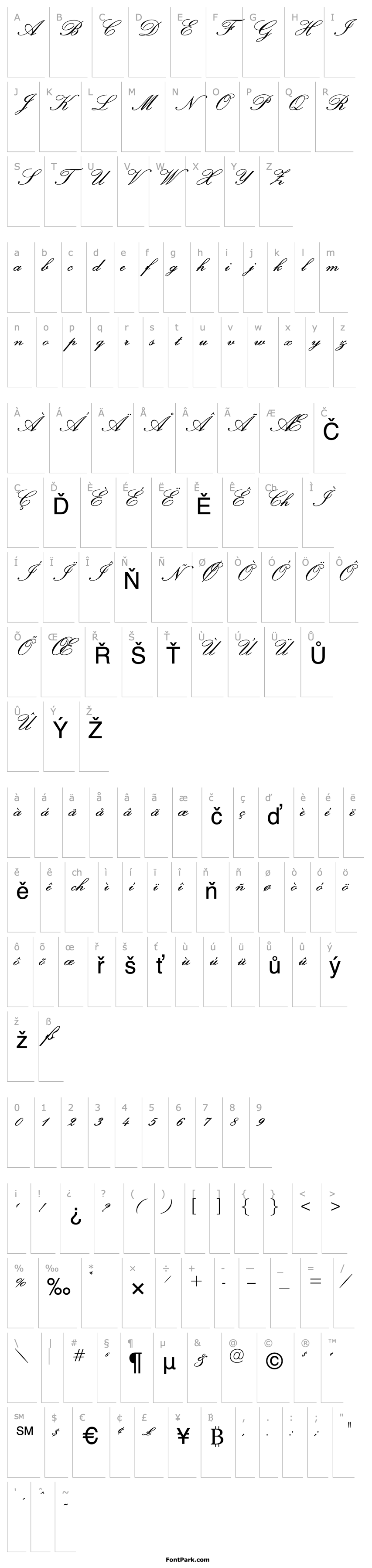 Overview OPTIExcelsiorScript-SemiBd