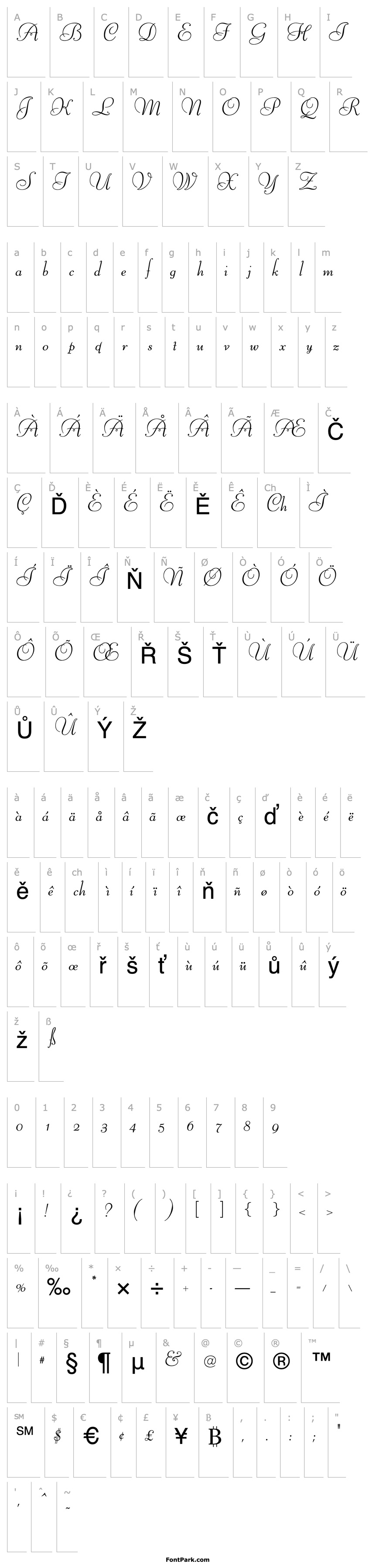 Overview OPTILibertyFoundry