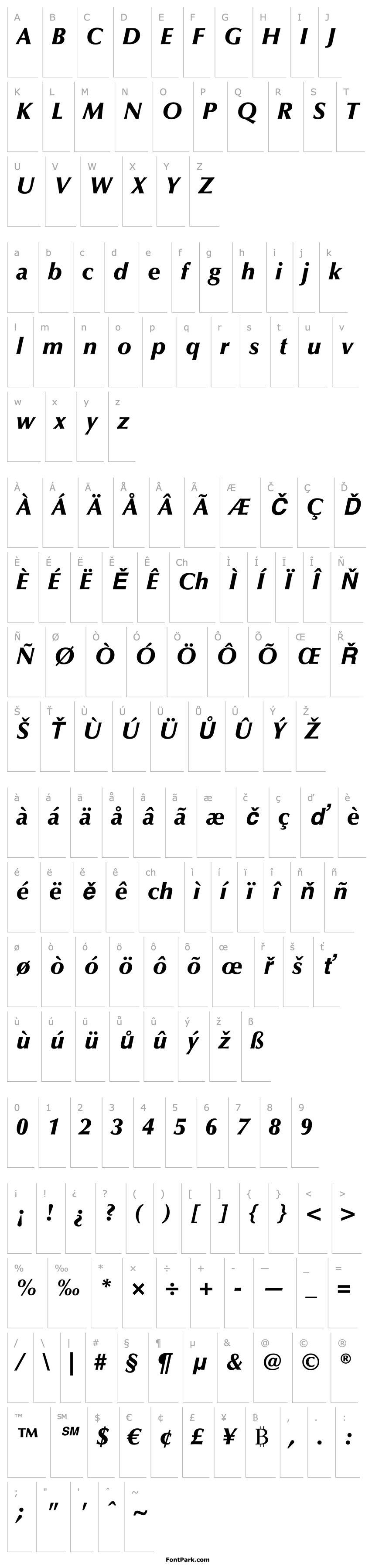 Overview Optima LT Black Italic