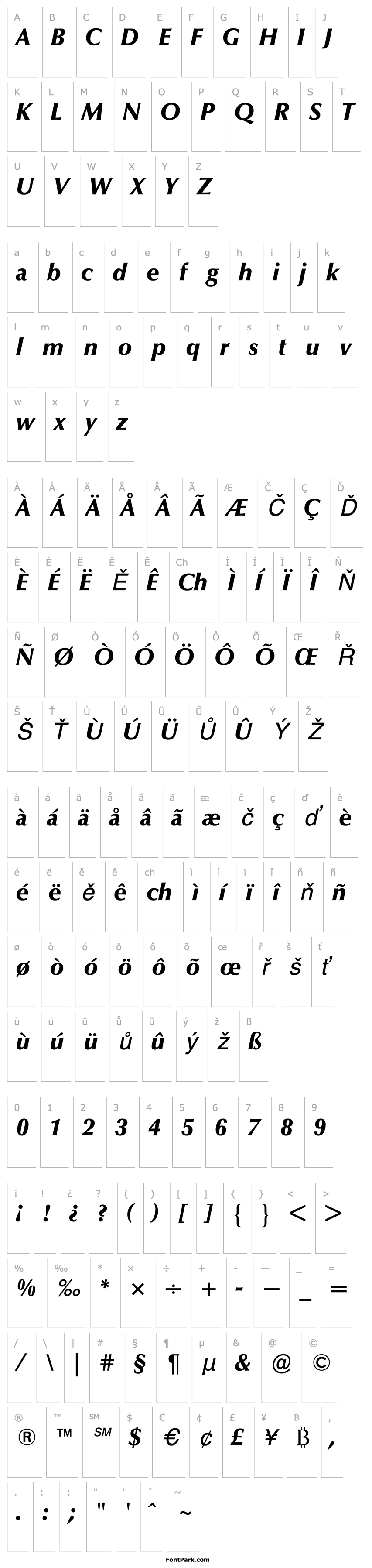 Overview OptimaBQ-BlackItalic