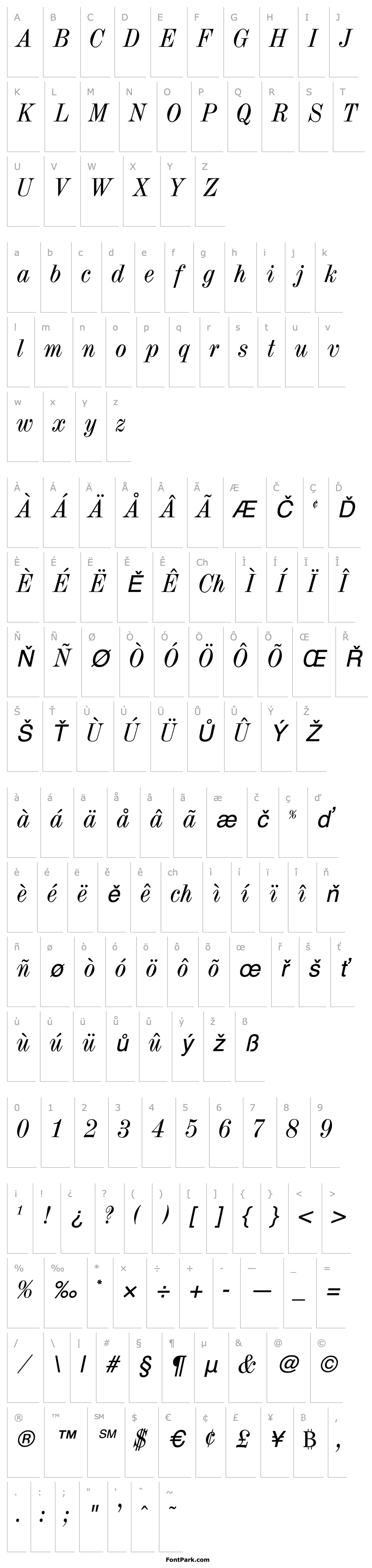 Přehled OPTITorry-Italic