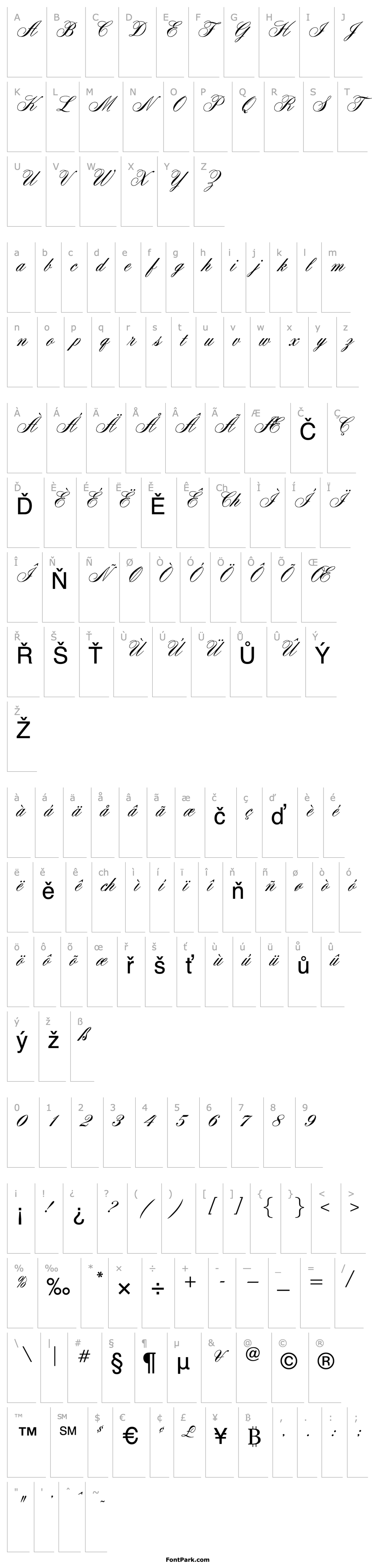 Overview OPTIYale-Script