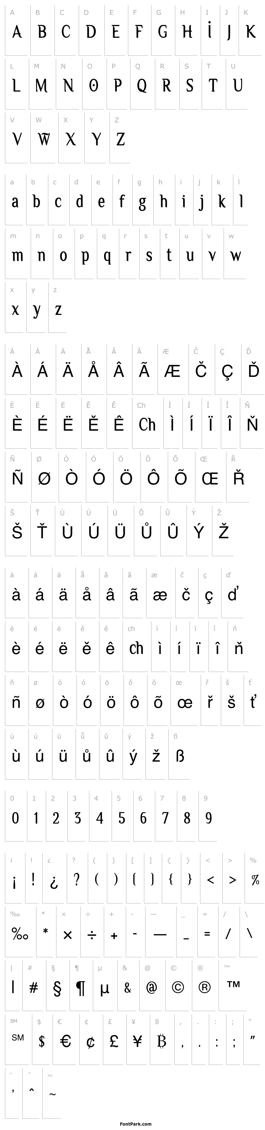 Přehled Owbeirak Serif Demo Version