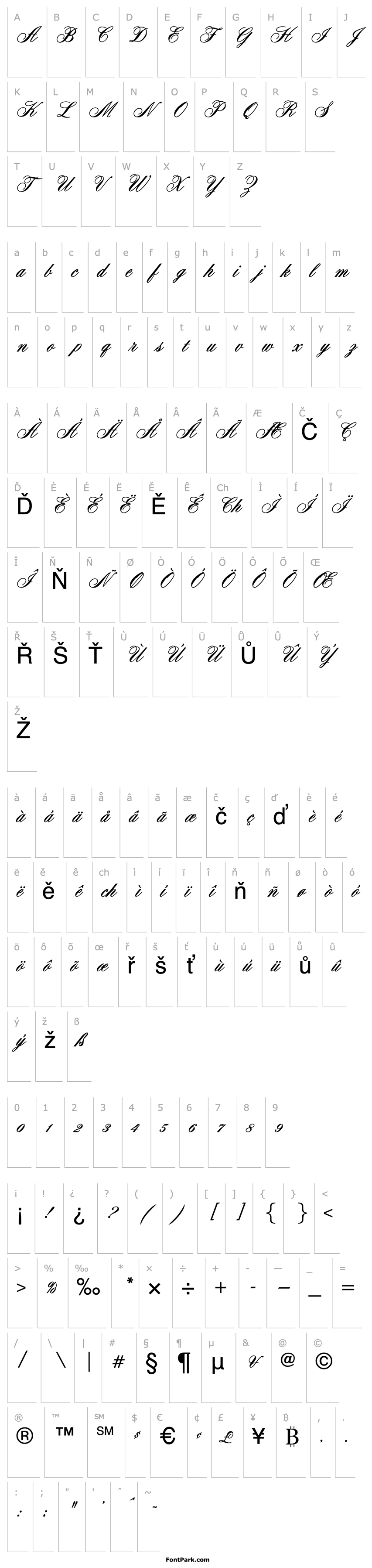 Overview OYALE Scrip Bold