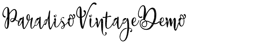 Preview ParadisoVintageDemo