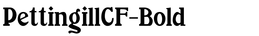 Preview PettingillCF-Bold