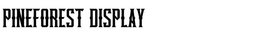 Preview Pineforest Display