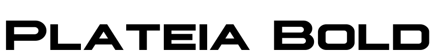 Preview Plateia Bold