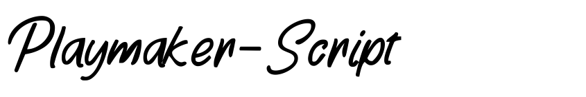 Preview Playmaker-Script