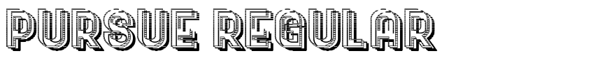 Preview Pursue Regular