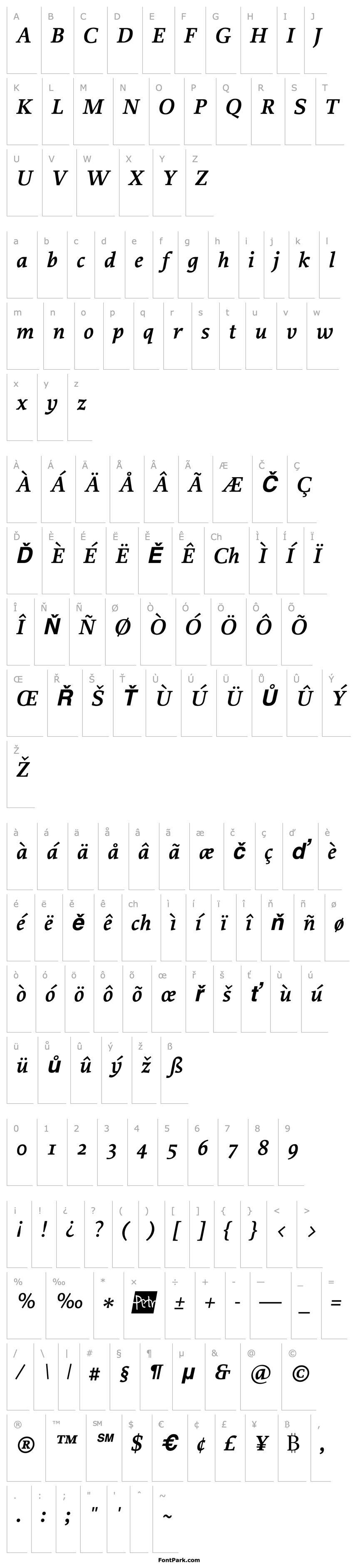 Overview Proforma-SemiBoldItalic