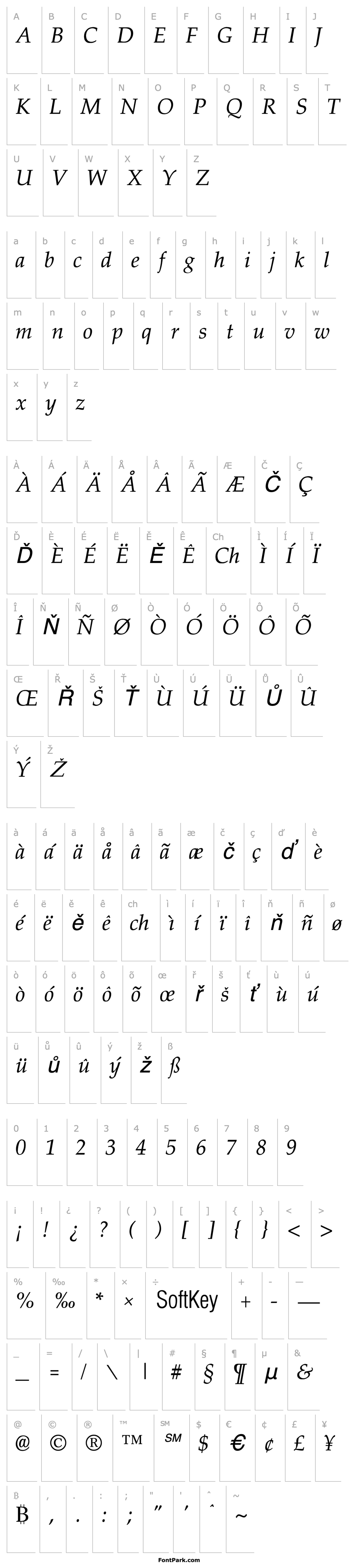 Přehled Palisade Italic