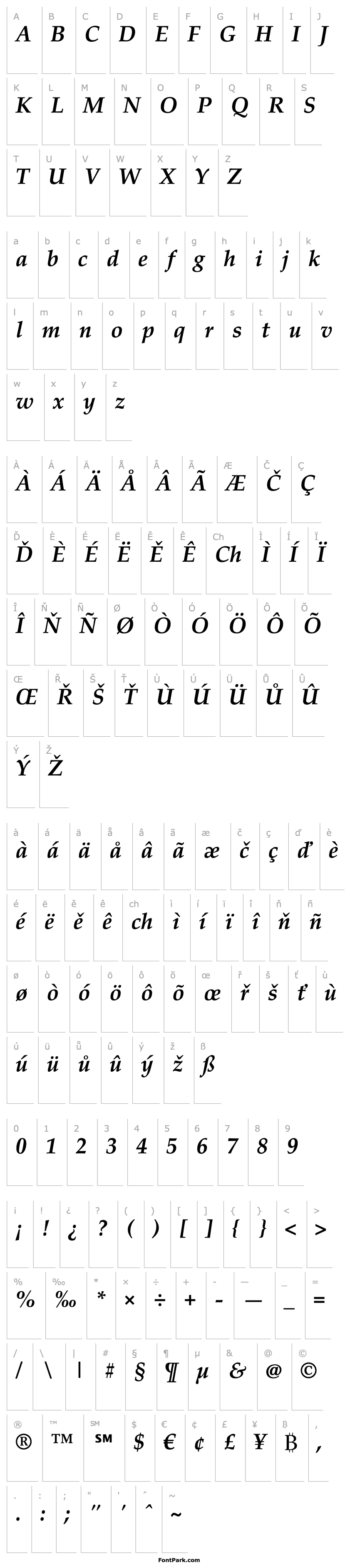 Přehled Palatino Linotype Bold Italic