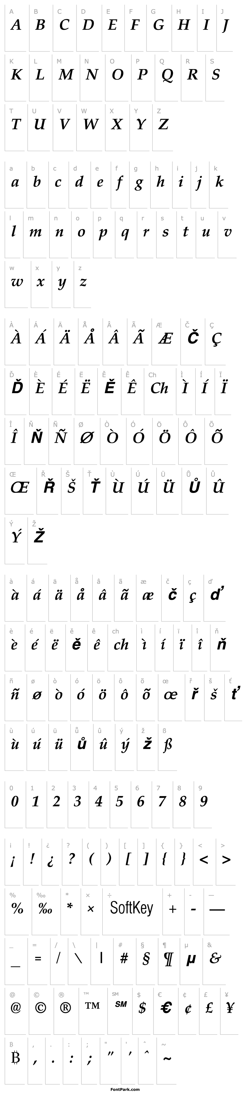 Overview Palisade Bold Italic