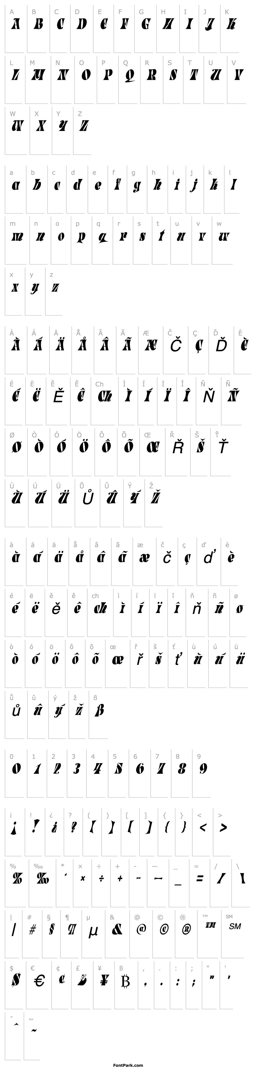 Overview ParadeTight Italic