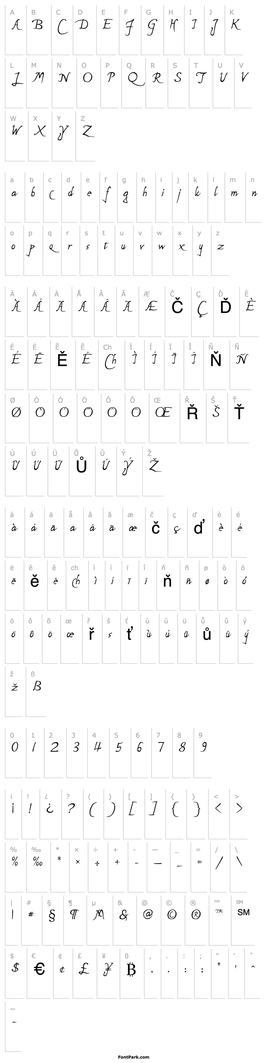 Overview P22 Michelangelo Regular