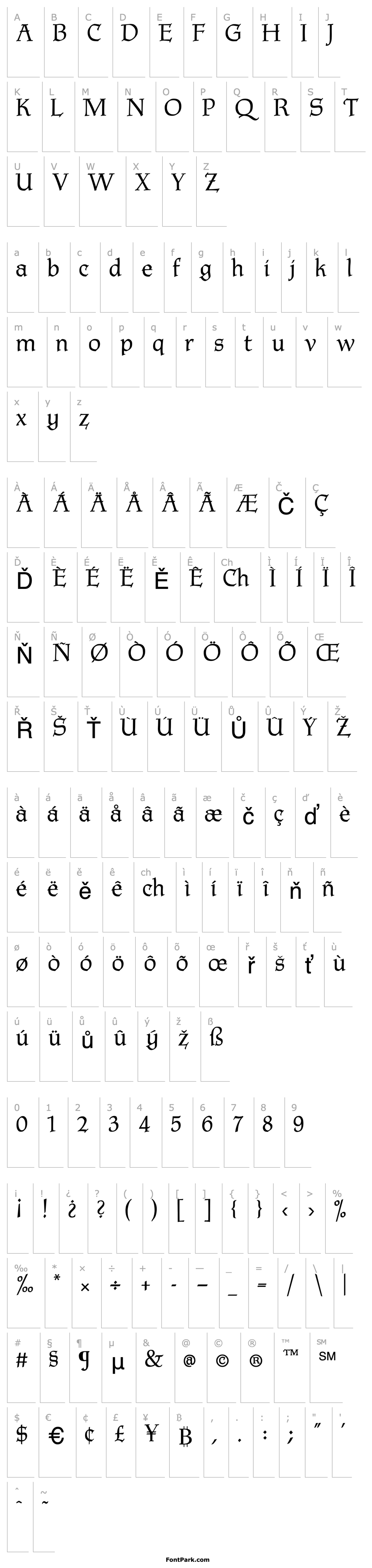 Overview P22 Tyndale Medium