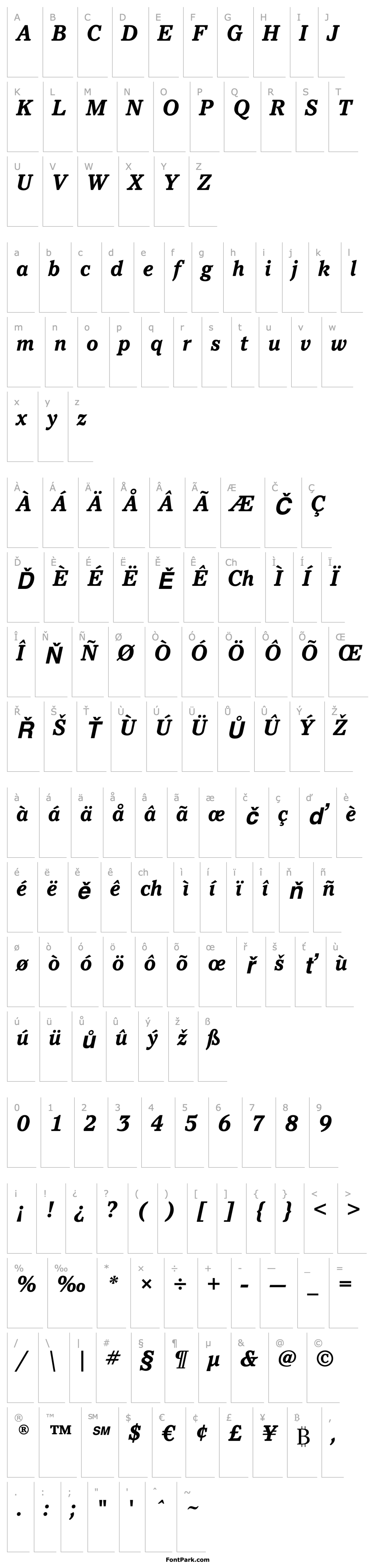 Overview Pacella ITC Std Bold Italic